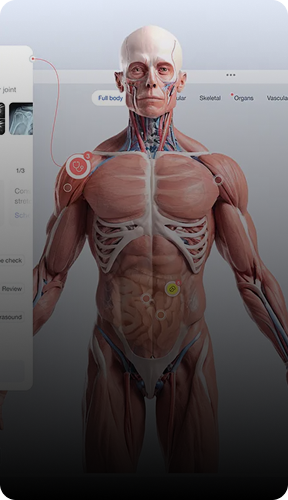 Real Estate Platforms