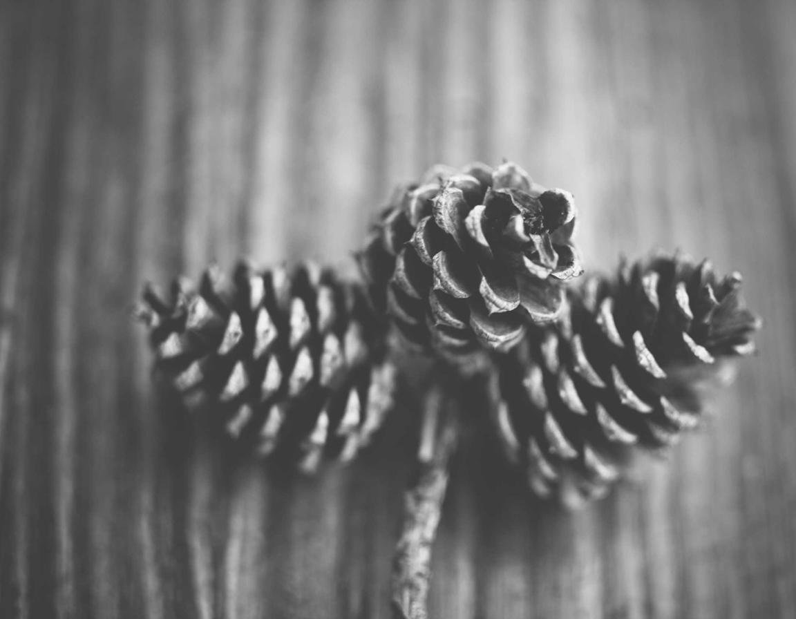 Best Practices for Database Management